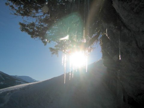 Sonne.JPG